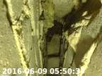 0160609054939-04