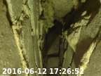 0160612172639-03