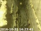 0161031142317-04