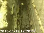 0161119121905-05