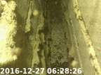 161227062811-03