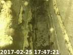 0170225174707-02