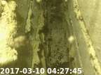 0170310042715-07