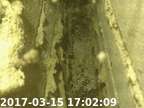 20170315170139-04