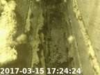20170315172411-00