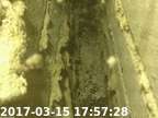 20170315175712-00
