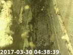 20170330043824-04
