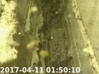170411014936-05