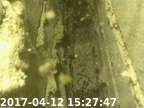 170412152734-03