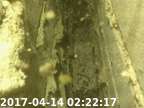 0170414022205-00