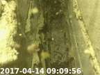 0170414090944-00