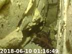 0180610011638-01