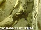 0180611015313-00