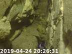 190424202600-00