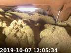 191007120516-02