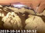 191014135019-00