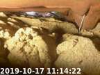191017111350-04