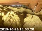 191026135309-04