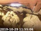 191029115454-01