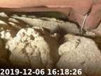 0191206161435-02