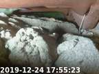 191224175450-05
