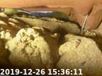 191226153534-03