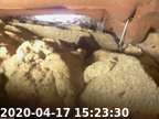 0200417152221-03