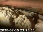 20200715232209-00