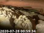 20200728005911-05