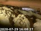 20200729160759-06