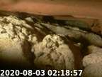 20200803021839-03
