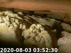 20200803035155-00