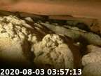 20200803035647-01