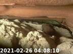 210226040752-00