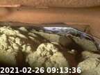210226091317-00