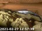 210227125727-02