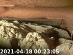 210418002233-05