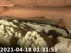 210418013127-04