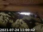 20210724110025-06