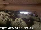 20210724111854-01