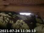 20210724113602-03