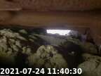 20210724113922-01