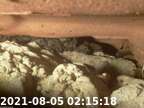 20210805021506-03