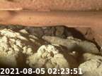 20210805022337-04