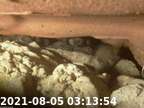 20210805031307-04