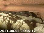 20210805031457-02