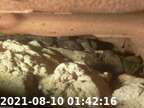 20210810014141-01