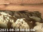 20210818000348-04