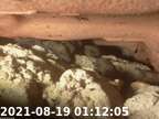 20210819011002-00