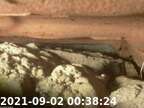 20210902003759-05